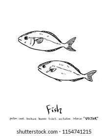 sea food illustrations / Hand drawn food ingredients - vector