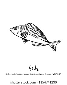 sea food illustrations / Hand drawn food ingredients - vector