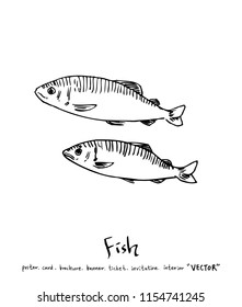 sea food illustrations / Hand drawn food ingredients - vector