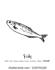 sea food illustrations / Hand drawn food ingredients - vector