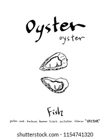 sea food illustrations / Hand drawn food ingredients - vector