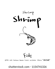 sea food illustrations / Hand drawn food ingredients - vector
