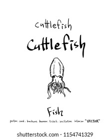sea food illustrations / Hand drawn food ingredients - vector