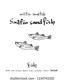 sea food illustrations / Hand drawn food ingredients - vector