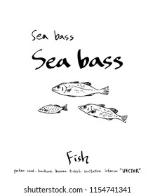 sea food illustrations / Hand drawn food ingredients - vector