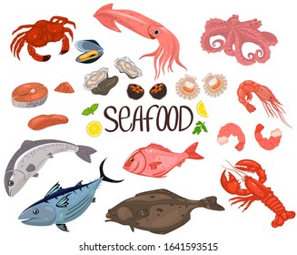 Sea food isolated on a white background. Vector graphics.