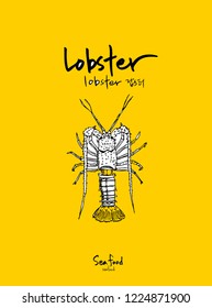 Sea food menu illustrations / Hand drawn food ingredients - vector