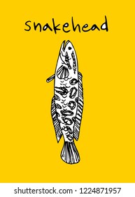 Sea food menu illustrations / Hand drawn food ingredients - vector