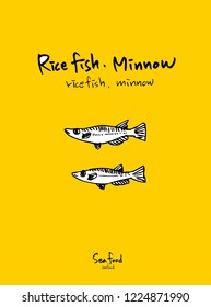 Sea food menu illustrations / Hand drawn food ingredients - vector