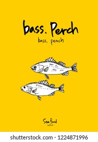 Sea food menu illustrations / Hand drawn food ingredients - vector