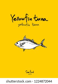 Sea food menu illustrations / Hand drawn food ingredients - vector