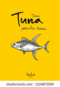 Sea food menu illustrations / Hand drawn food ingredients - vector