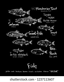 Sea food menu illustrations / Hand drawn food ingredients - vector
