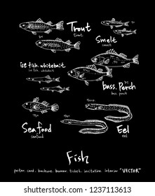 Sea food menu illustrations / Hand drawn food ingredients - vector