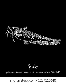 Sea food menu illustrations / Hand drawn food ingredients - vector