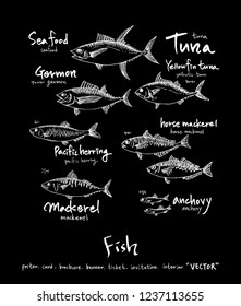 Sea food menu illustrations / Hand drawn food ingredients - vector