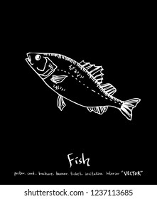 Sea food menu illustrations / Hand drawn food ingredients - vector
