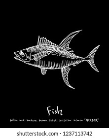 Sea food menu illustrations / Hand drawn food ingredients - vector