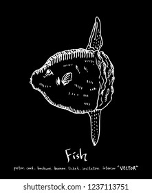 Sea food menu illustrations / Hand drawn food ingredients - vector