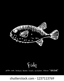 Sea food menu illustrations / Hand drawn food ingredients - vector
