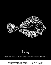 Sea food menu illustrations / Hand drawn food ingredients - vector