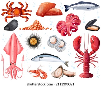 Sea food on white background. Crab, lobster, salmon, mackerel, squid, caviar, mussels, shrimps, scallop, sea urchin, shells with pearls, scomber, mackerel. Marine, ocean animals. Vector illustration