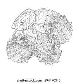 Sea food - oysters with lemon. Hand drawn vector illustration with fill and outline. 