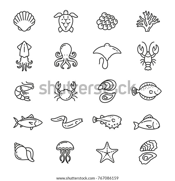 Sea food related icons: thin vector icon set, black\
and white kit