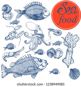 sea food, set, banner, vector