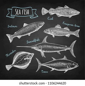 Sea food set. Chalk sketch on blackboard background. Hand drawn vector illustration. Retro style.