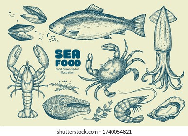 Sea food. A set of illustrations for the design of the menu of restaurants, and shop windows of fish shops.