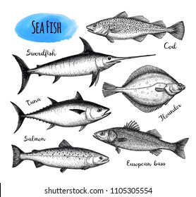 Sea food set. Ink sketch isolated on white background. Hand drawn vector illustration. Retro style.