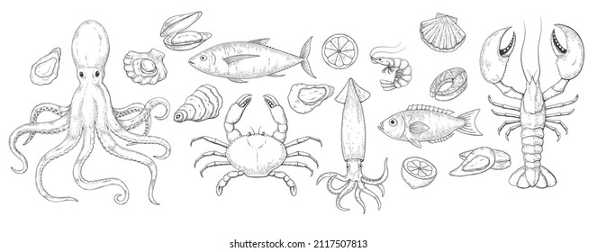 Sea food set sketch engraving retro illustration	
