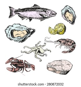 sea food set vector graphic illustration