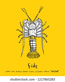Sea food sketch / Hand drawn food ingredients - vector