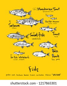 Sea food sketch / Hand drawn food ingredients - vector