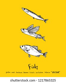 Sea food sketch / Hand drawn food ingredients - vector