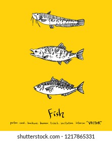 Sea food sketch / Hand drawn food ingredients - vector