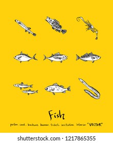 Sea food sketch / Hand drawn food ingredients - vector