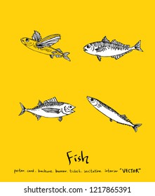 Sea food sketch / Hand drawn food ingredients - vector