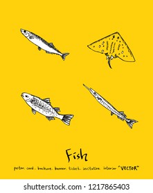 Sea food sketch / Hand drawn food ingredients - vector
