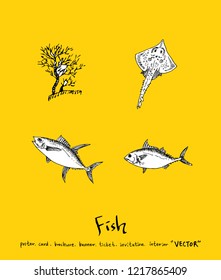 Sea food sketch / Hand drawn food ingredients - vector