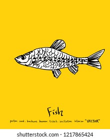 Sea food sketch / Hand drawn food ingredients - vector