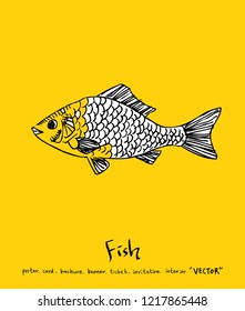 Sea food sketch / Hand drawn food ingredients - vector