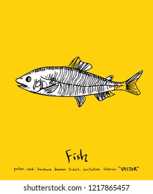 Sea food sketch / Hand drawn food ingredients - vector