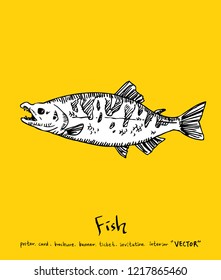 Sea food sketch / Hand drawn food ingredients - vector