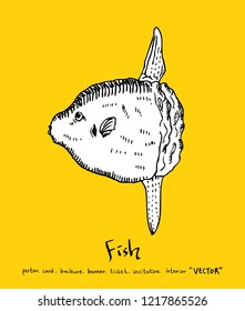 Sea food sketch / Hand drawn food ingredients - vector
