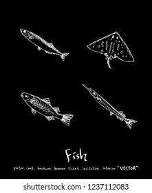 Sea food sketch / Hand drawn food ingredients - vector