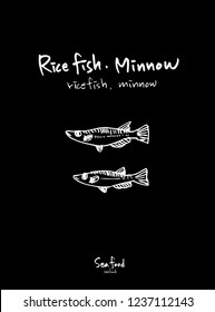Sea food sketch / Hand drawn food ingredients - vector