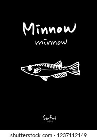 Sea food sketch / Hand drawn food ingredients - vector